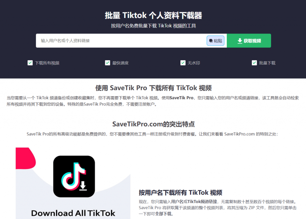 Tiktok下載站插圖 Tiktok下載站